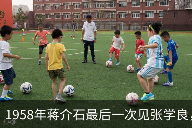 1958年蒋介石最后一次见张学良，说道：西安的事对国家损失太大了